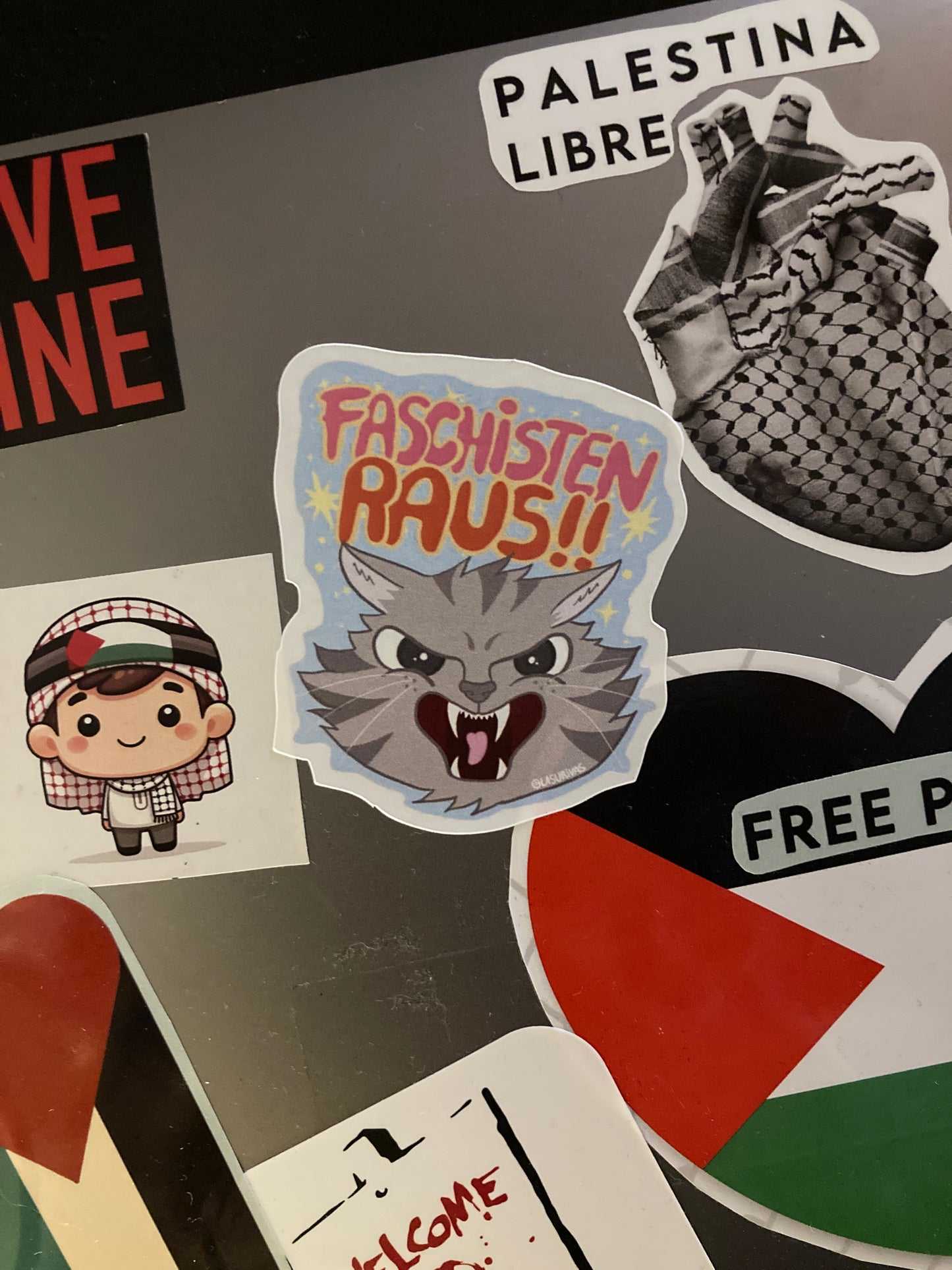 Faschisten Raus!! – Mutiger Statement-Sticker mit wütender Katze. Kostenloser Versand ab 6€